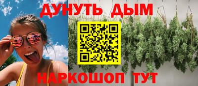 сатива Краснознаменск