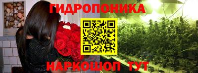 сатива Краснознаменск