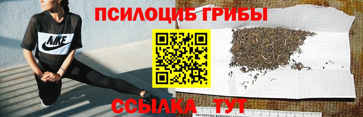 Галлюциногенные грибы Cubensis  Вход с VPN  Усть-Джегута  Псилоцибиновые грибы ЛСД 