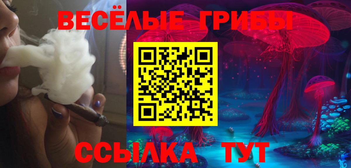 Псилоцибиновые грибы Psilocybine cubensis Усть-Джегута